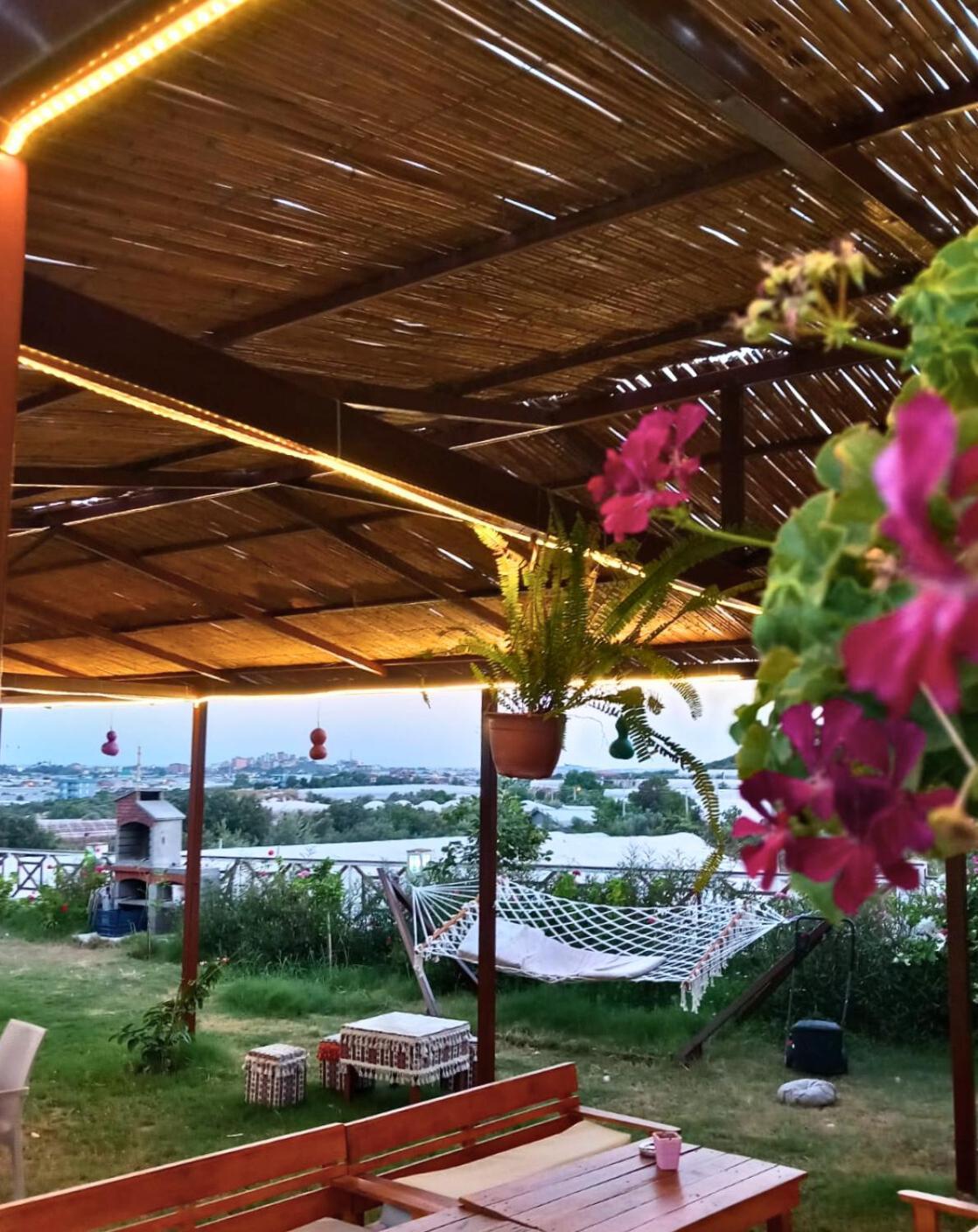 Bu Bungalow Hotel Demre Εξωτερικό φωτογραφία